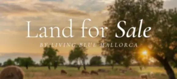  قطعة أرض في Santa Maria Del Cami, Spain رقم 188512 2