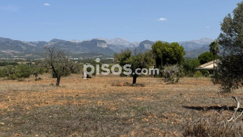  قطعة أرض في Santa Maria Del Cami, Spain رقم 188512