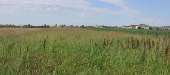 Grundstück in Casalserugo, Italy 9275m², Nr. 288352 3