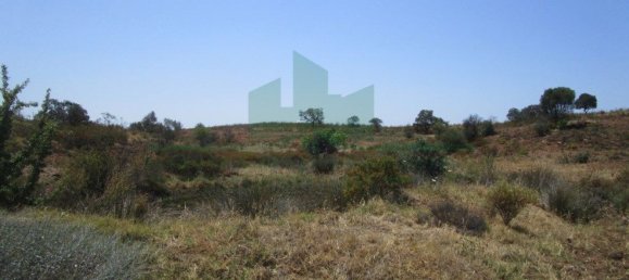 Terreno em Azinhal, Portugal 142800 m² N.º 69776 14