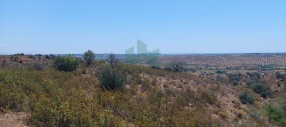 Terreno em Azinhal, Portugal 142800 m² N.º 69776 41