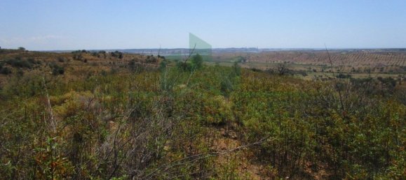 Terreno em Azinhal, Portugal 142800 m² N.º 69776 36