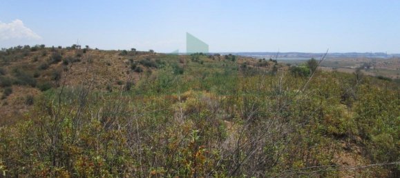 Terreno em Azinhal, Portugal 142800 m² N.º 69776 35