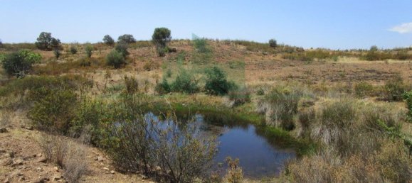 Terreno em Azinhal, Portugal 142800 m² N.º 69776 19