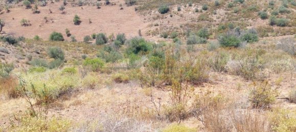 Terreno em Azinhal, Portugal 142800 m² N.º 69776 43