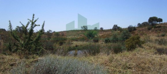 Terreno em Azinhal, Portugal 142800 m² N.º 69776 21