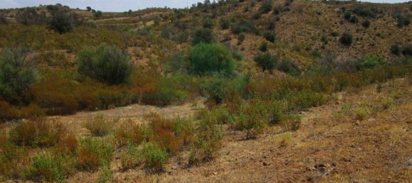 Terreno em Azinhal, Portugal 142800 m² N.º 69776 31