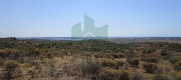 Terreno em Azinhal, Portugal 142800 m² N.º 69776 5