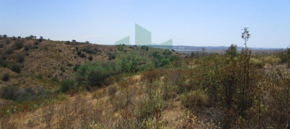 Terreno em Azinhal, Portugal 142800 m² N.º 69776 33