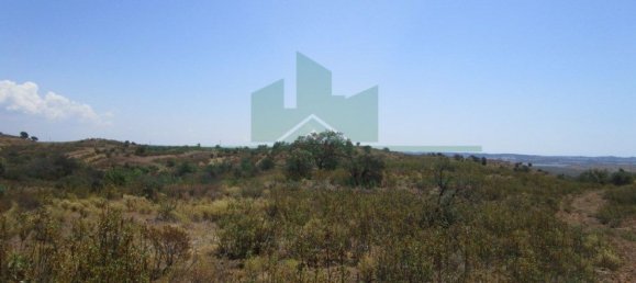 Terreno em Azinhal, Portugal 142800 m² N.º 69776 26
