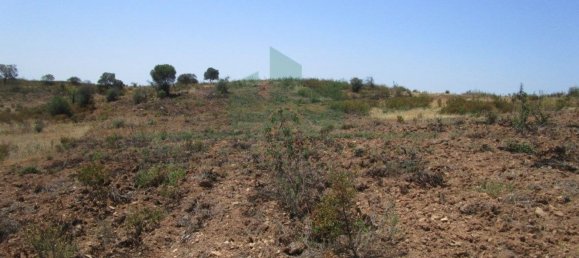 Terreno em Azinhal, Portugal 142800 m² N.º 69776 13