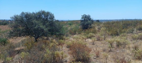 Terreno em Azinhal, Portugal 142800 m² N.º 69776 40