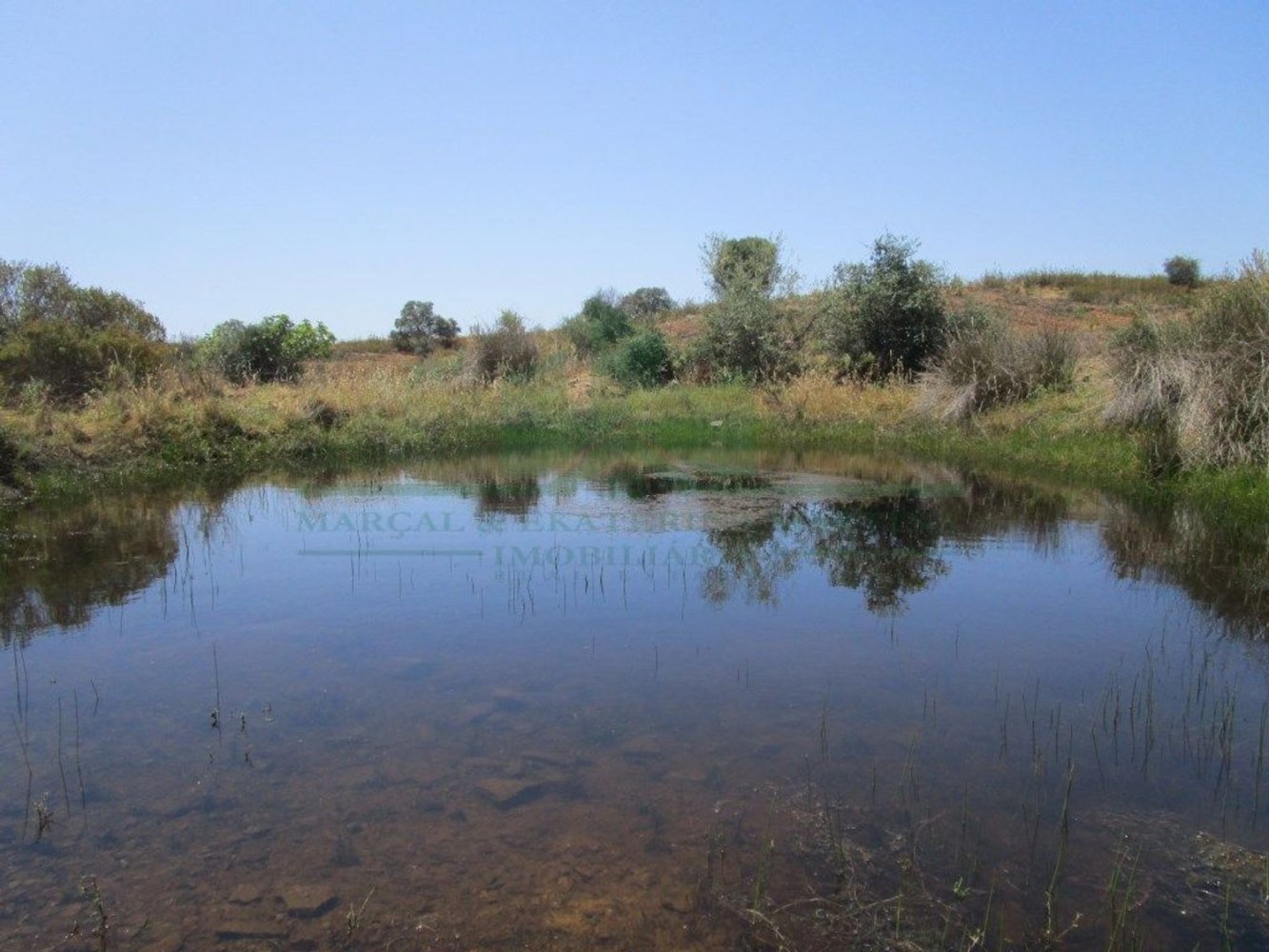 Terreno em Azinhal, Portugal 142800 m² N.º 69776