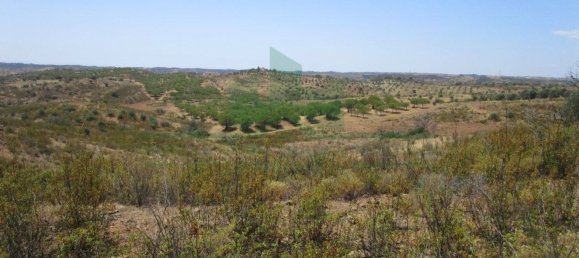 Terreno em Azinhal, Portugal 142800 m² N.º 69776 28