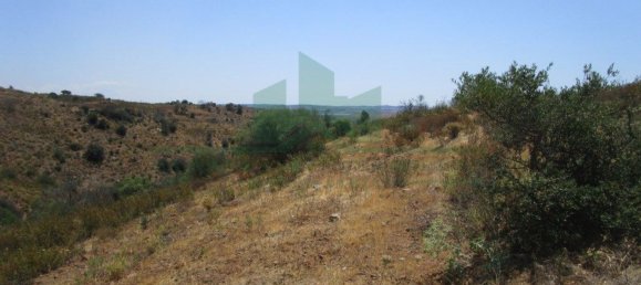 Terreno em Azinhal, Portugal 142800 m² N.º 69776 32