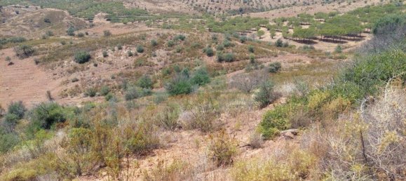 Terreno em Azinhal, Portugal 142800 m² N.º 69776 42