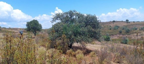 Terreno em Azinhal, Portugal 142800 m² N.º 69776 37