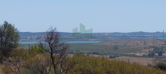 Terreno em Azinhal, Portugal 142800 m² N.º 69776 3