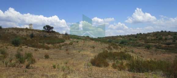 Terreno em Azinhal, Portugal 142800 m² N.º 69776 25