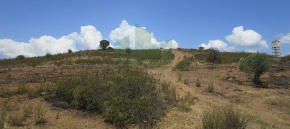 Terreno em Azinhal, Portugal 142800 m² N.º 69776 17