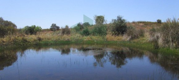 Terreno em Azinhal, Portugal 142800 m² N.º 69776 2