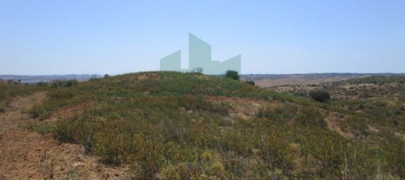 Terreno em Azinhal, Portugal 142800 m² N.º 69776 27