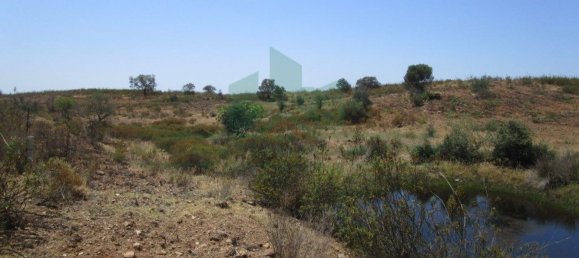 Terreno em Azinhal, Portugal 142800 m² N.º 69776 18