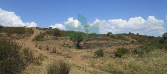 Terreno em Azinhal, Portugal 142800 m² N.º 69776 16