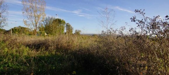 645m² Land in Cologne, France No. 110126 3