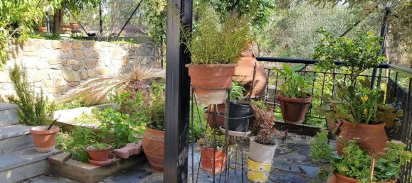 1 bedroom Commercial property in Chalkidiki, Greece No. 4513 22