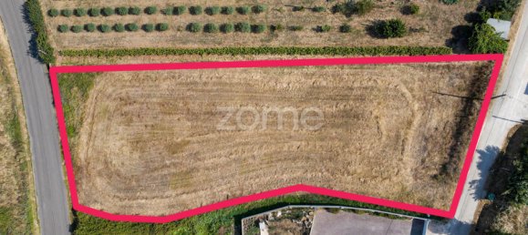  Land in Evora de Alcobaca, Portugal No. 238913 15