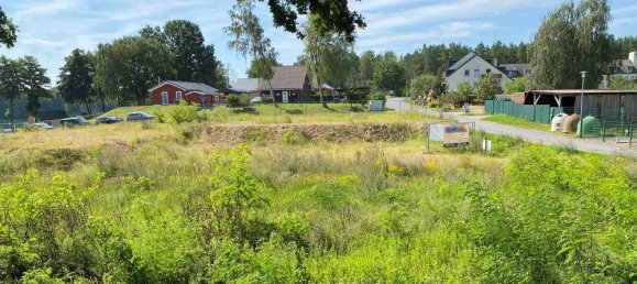  Land in Ostprignitz-Ruppin, Germany No. 221882 18