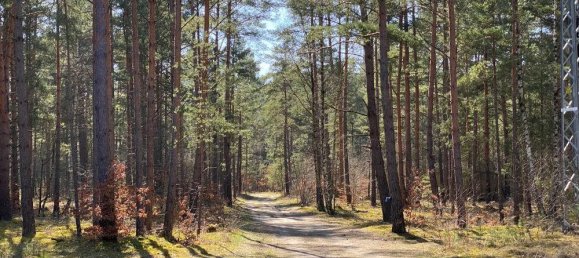  Land in Ostprignitz-Ruppin, Germany No. 221882 30