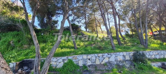 Apartment 1+1 in Bodrum, Turkey No. 26850 6