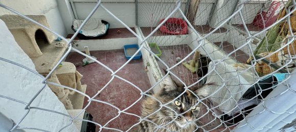 Villa T5 em Mijas, Spain N.º 59431 27