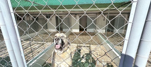 Villa T5 em Mijas, Spain N.º 59431 23