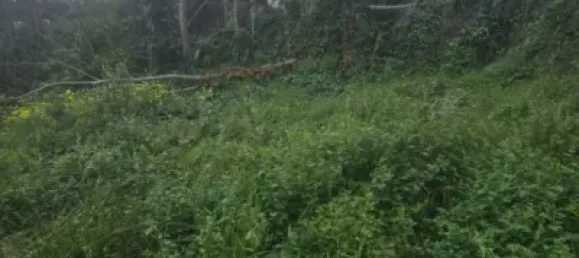 Grundstück in Churriana, Spain, Nr. 148270 5