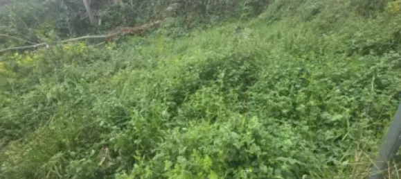 Grundstück in Churriana, Spain, Nr. 148270 4