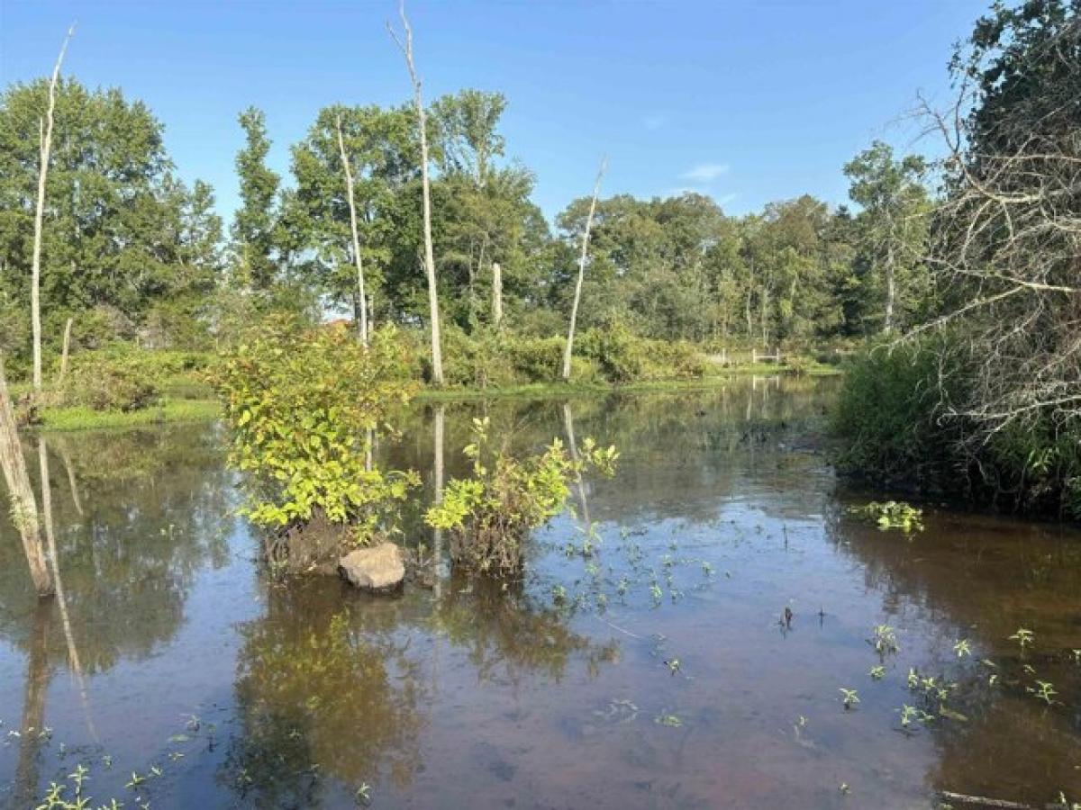 Grundstück in Judsonia, USA, Nr. 486180