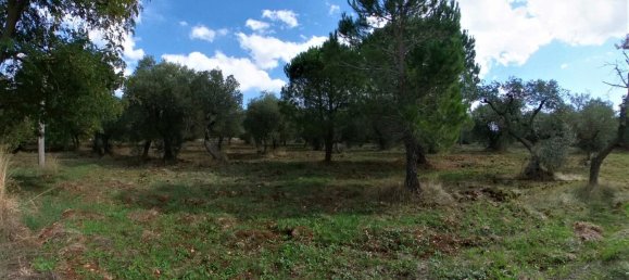 5 rooms House in Monopoli, Italy No. 24741 40