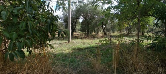 5 rooms House in Monopoli, Italy No. 24741 14