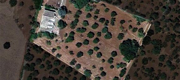 5 rooms House in Monopoli, Italy No. 24741 13