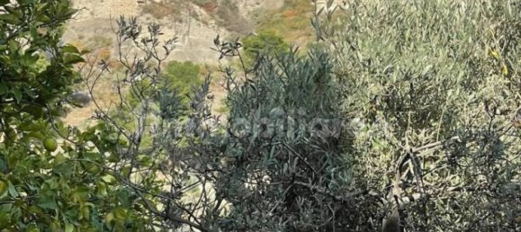 6 Schlafzimmer Villa in Roccella Ionica, Italy, Nr. 340154 24