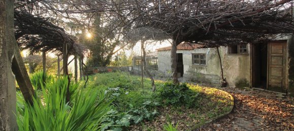 9 bedrooms House in Vila Nova de Gaia, Portugal No. 187097 4