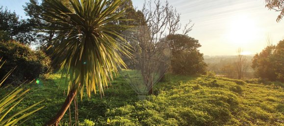 9 bedrooms House in Vila Nova de Gaia, Portugal No. 187097 7