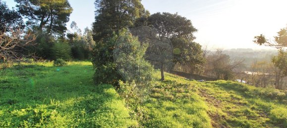 9 bedrooms House in Vila Nova de Gaia, Portugal No. 187097 9