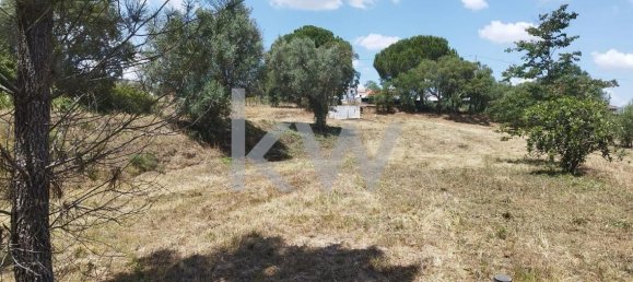 Grundstück in Montargil, Portugal 8750m², Nr. 91713 7