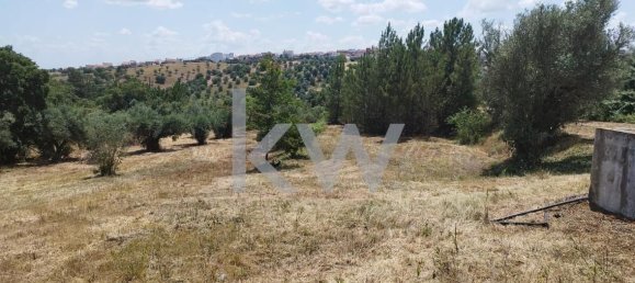 Grundstück in Montargil, Portugal 8750m², Nr. 91713 4