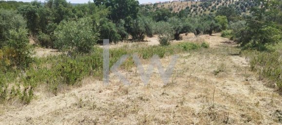 Grundstück in Montargil, Portugal 8750m², Nr. 91713 11