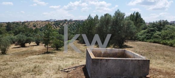 Grundstück in Montargil, Portugal 8750m², Nr. 91713 9